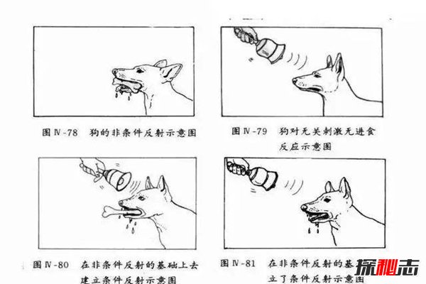 kaiyun体育综合-包含杰出教练:战术大师的成功秘诀揭秘的词条