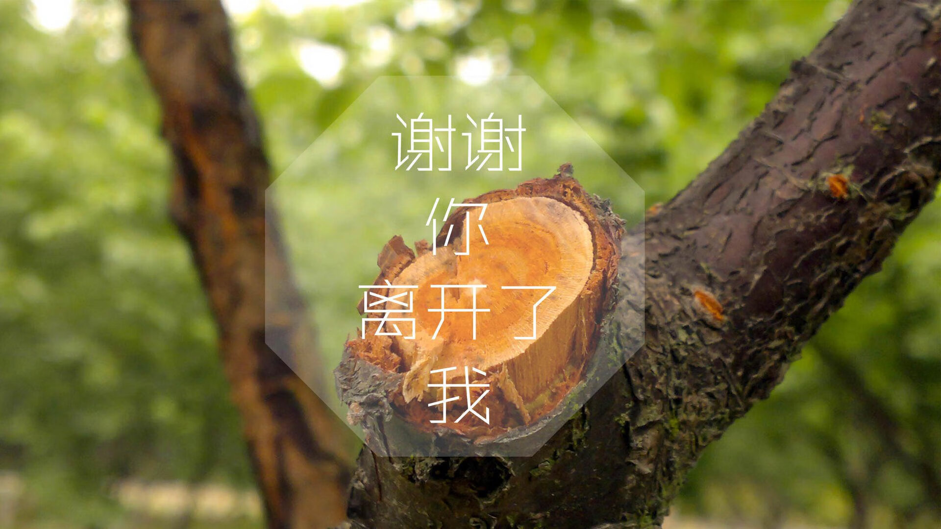 西甲逆转夜，球迷热议战术布置与比赛中战术变换，0607西甲逆转