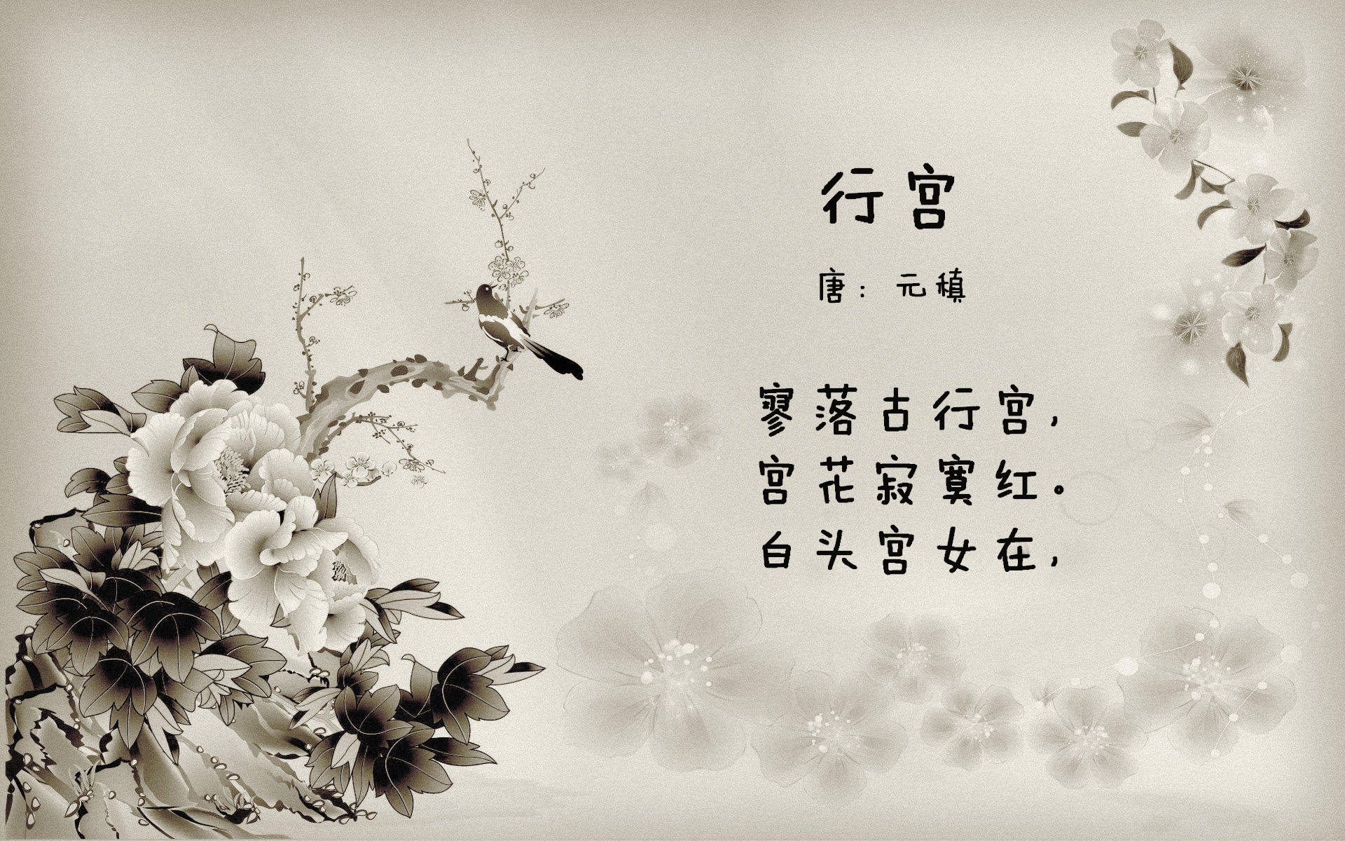 开云官网-阿根廷在世预赛中保持领先，积25分，阿根廷 世预赛