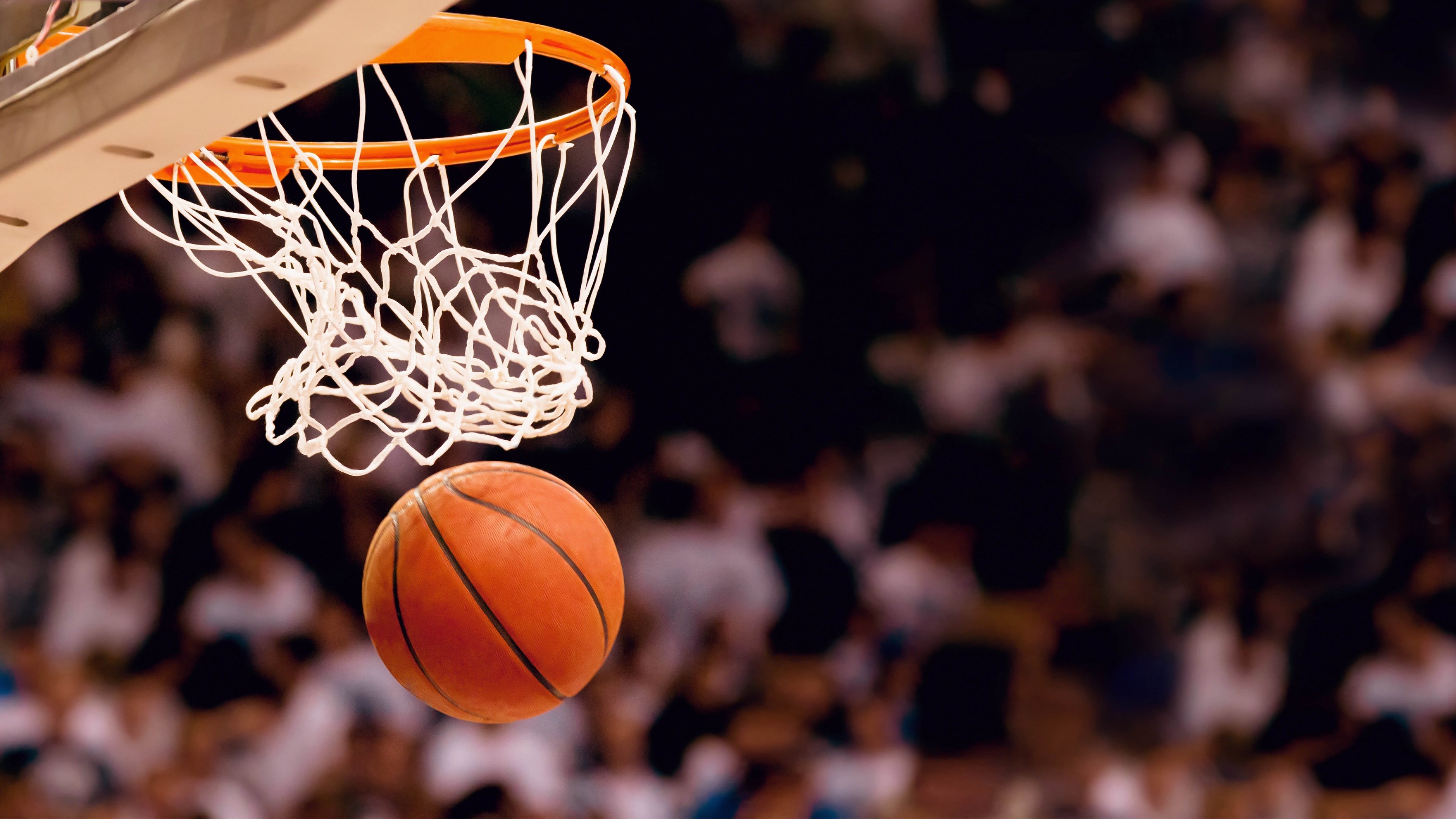NBA球员赛季表现综合评估，nba球员赛季评级