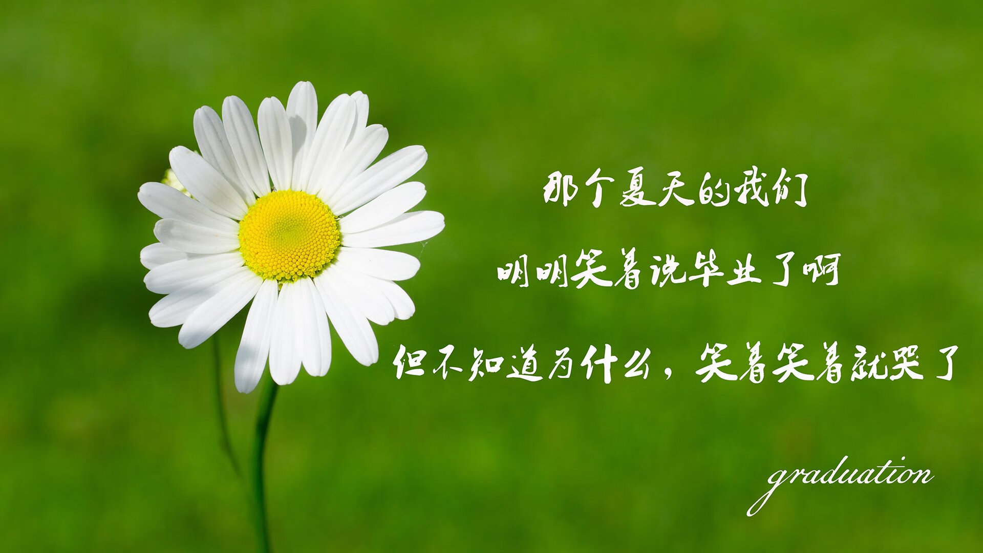 kaiyun网站-体育直播平台用户互动行为数据分析报告，互动直播体育怎么看