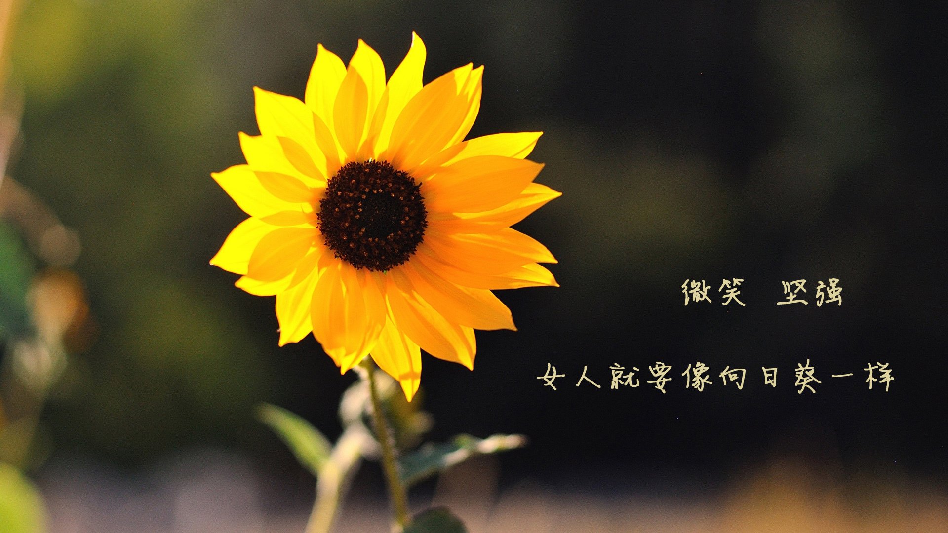 全民健身设施共建共享机制运行现状调研，全民健身共享健康