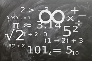 开云平台-高校运动训练科学管理策略研究，科学的运动训练管理系统应包含哪些方面