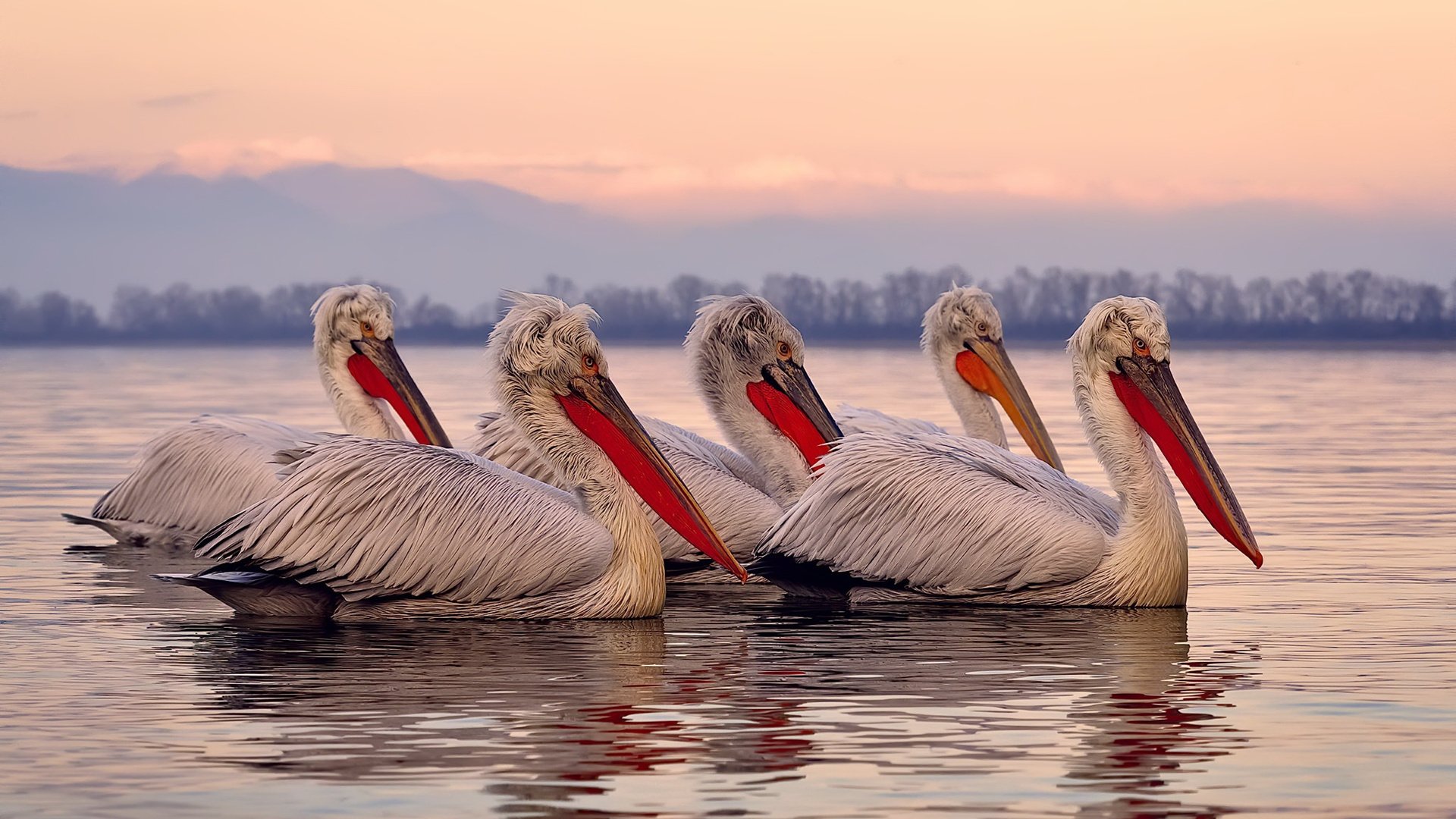CBA球队完善康复机制提升恢复效率,cba复赛方案