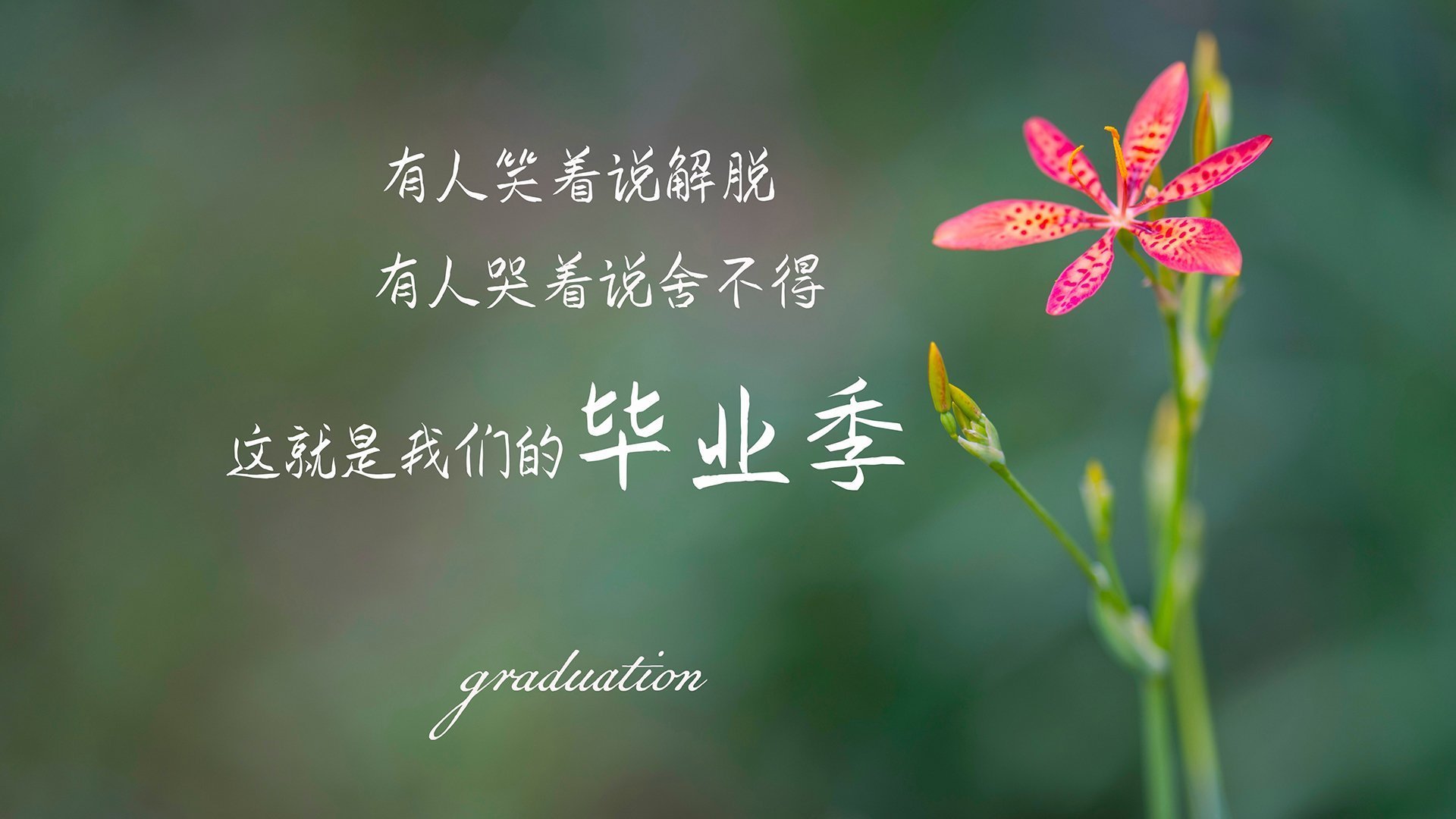 开云官网-塞内加尔男篮在非洲锦标赛中奋勇激战,冲击不止,非洲 塞内加尔