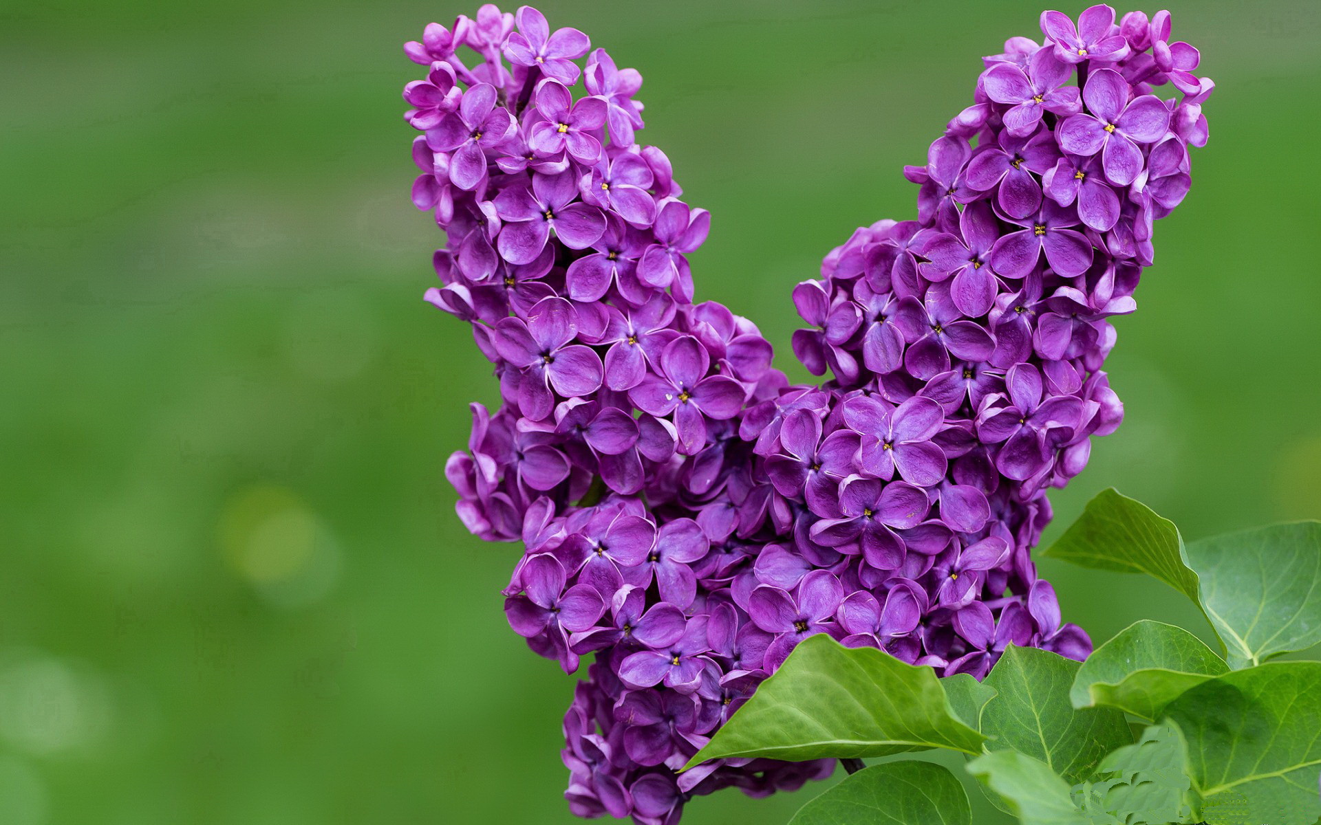 恩多比·恩乔:完美的转换踢球让南非队在比赛中占据主动,恩多cba