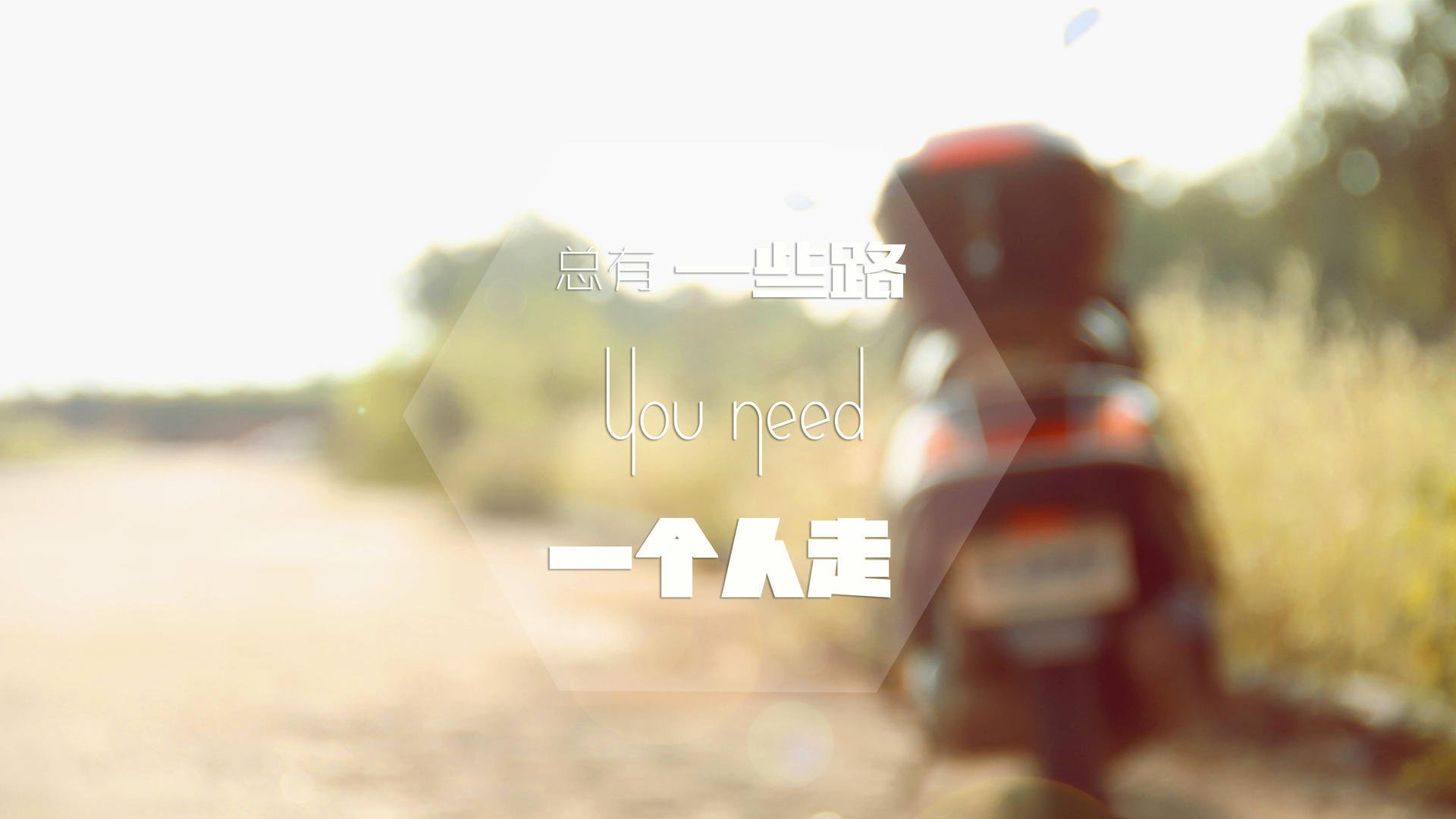 波兰泳坛骄傲赫梅列夫斯基奋勇拼搏,波兰诗人赫伯特