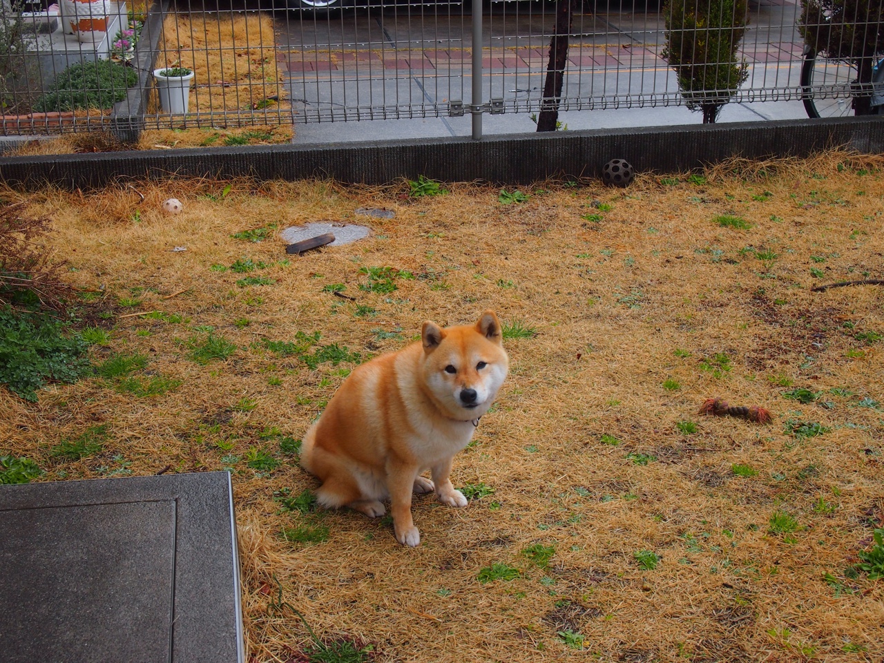 皮特·斯图斯荣膺南非年度最佳球员